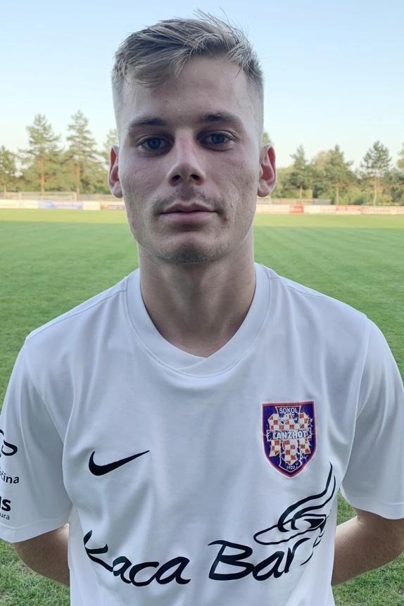Kollar